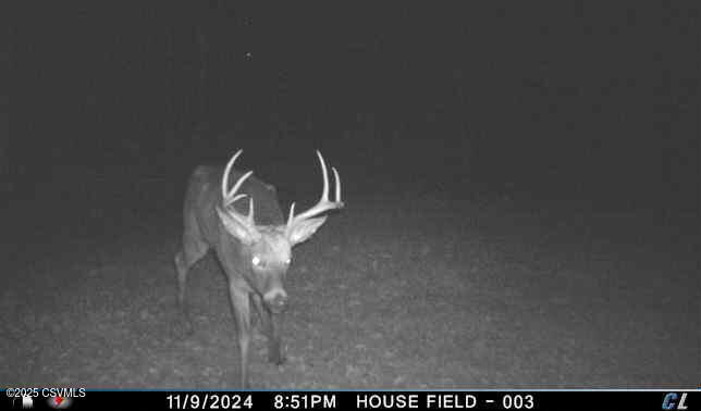 85 DEER RIDGE Lane