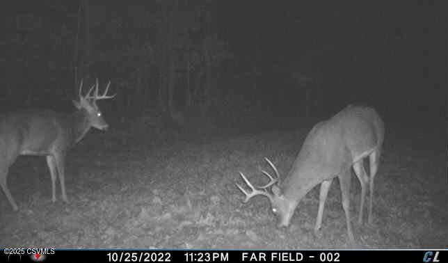 85 DEER RIDGE Lane