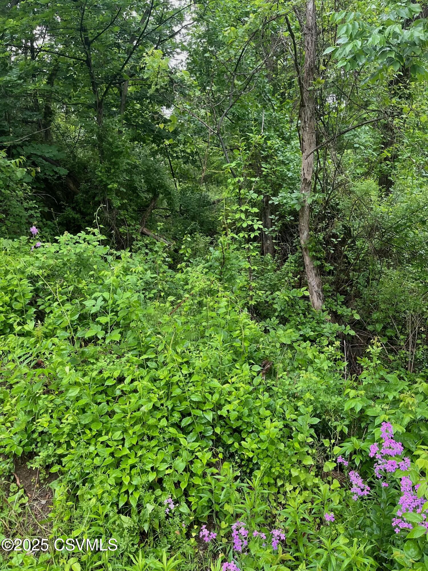 LOT PENNS CREEK Road