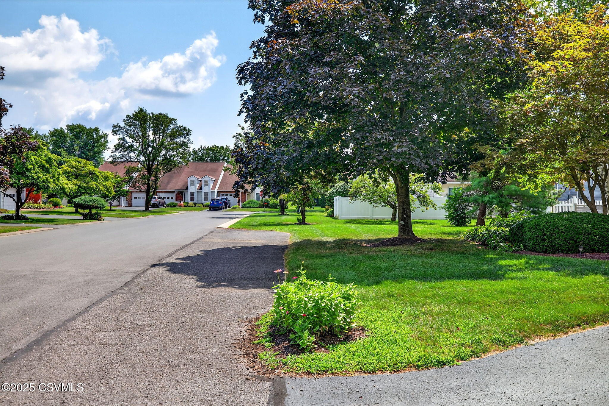 209 BIRCHTREE Lane