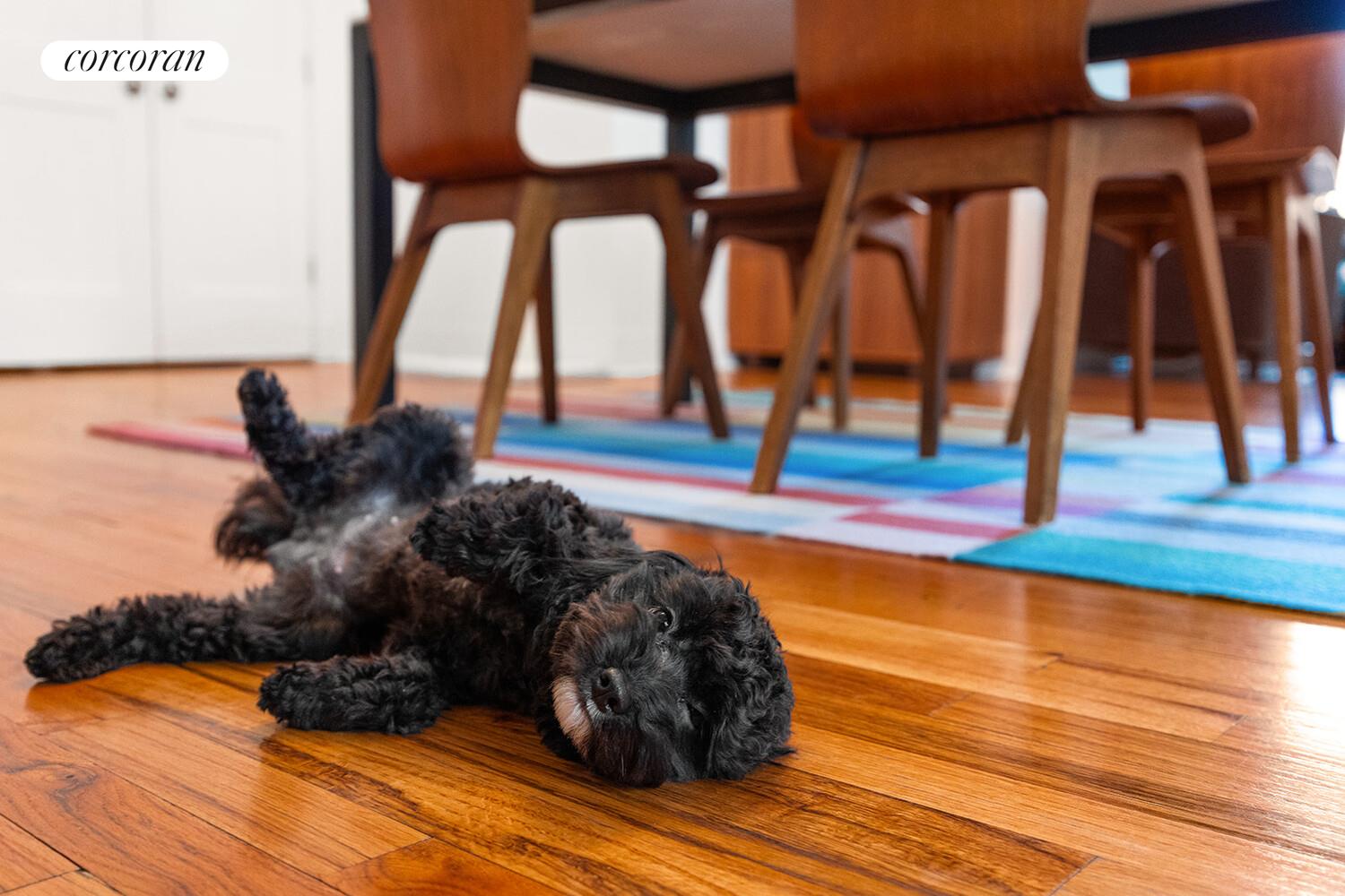 710 RIVERSIDE Drive 3E