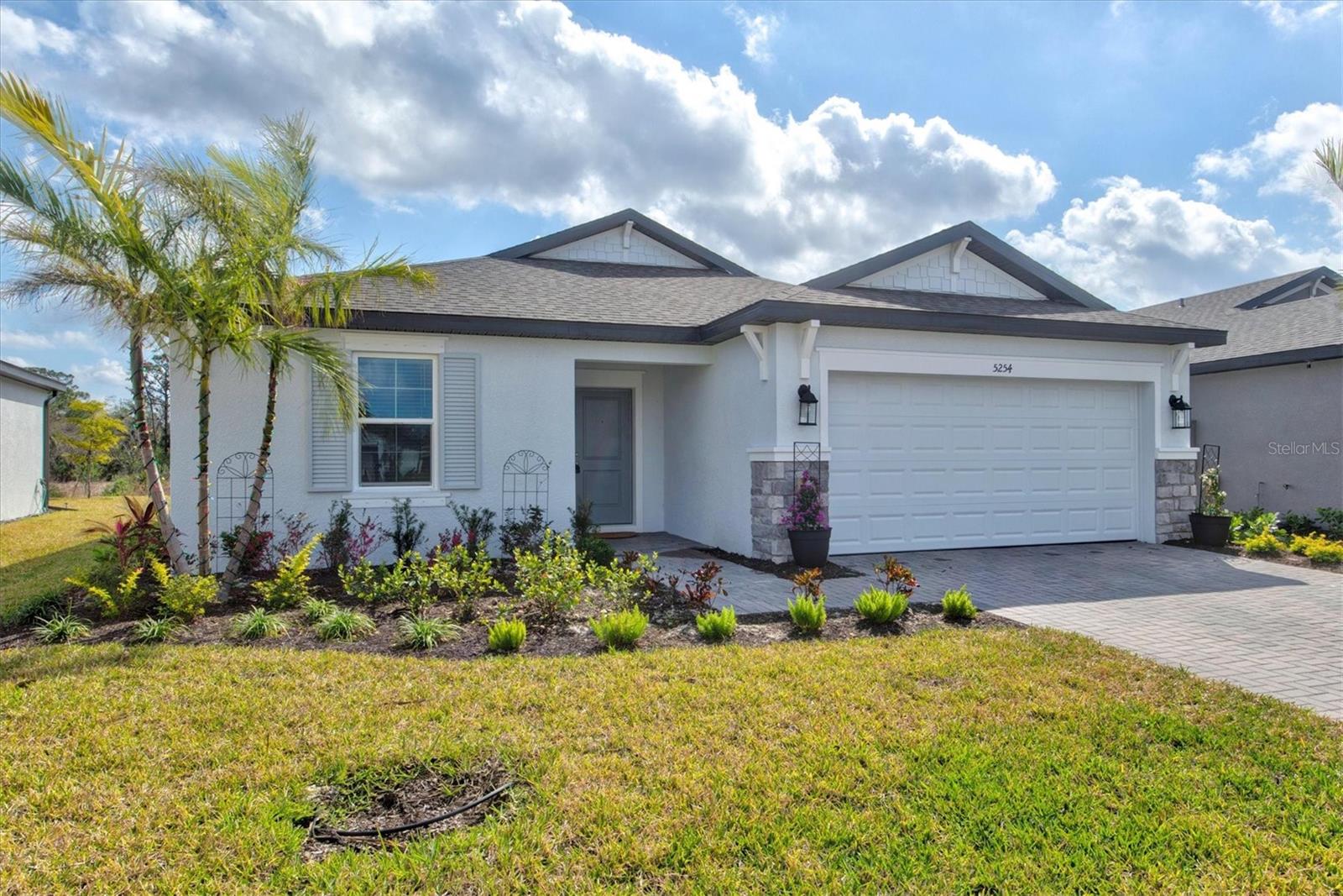 5254 PATANO LOOP