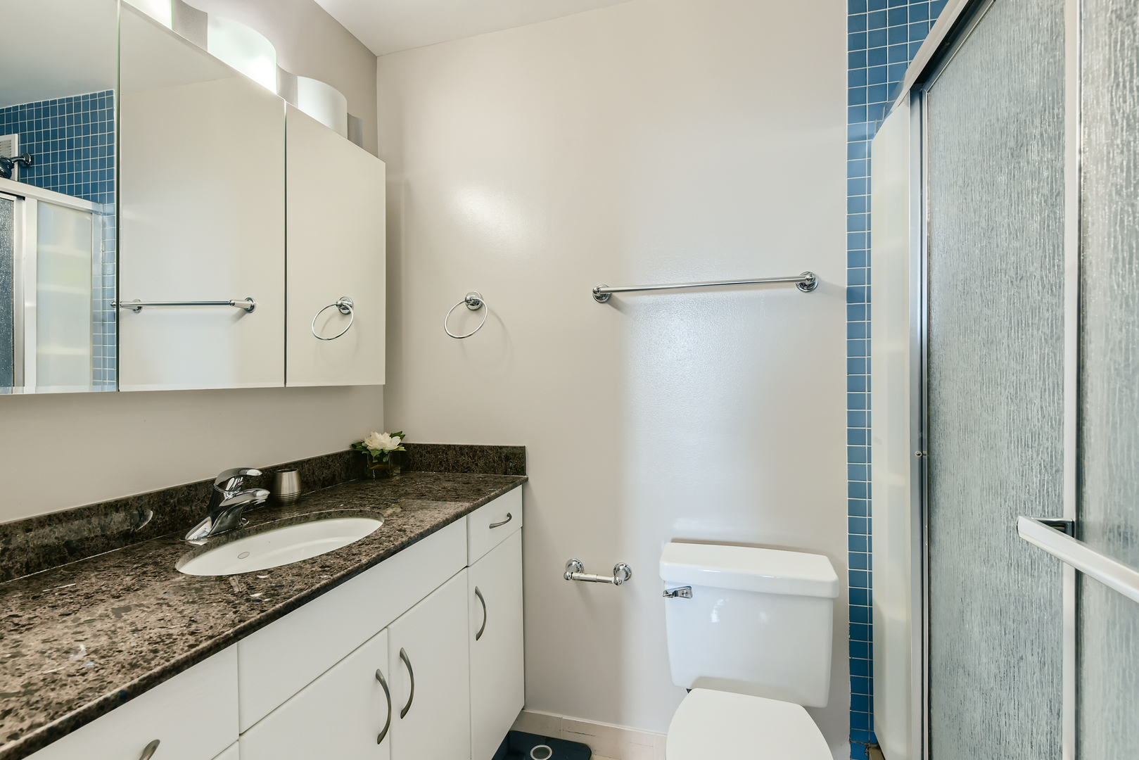 474 N Lake Shore Drive Unit: 5702