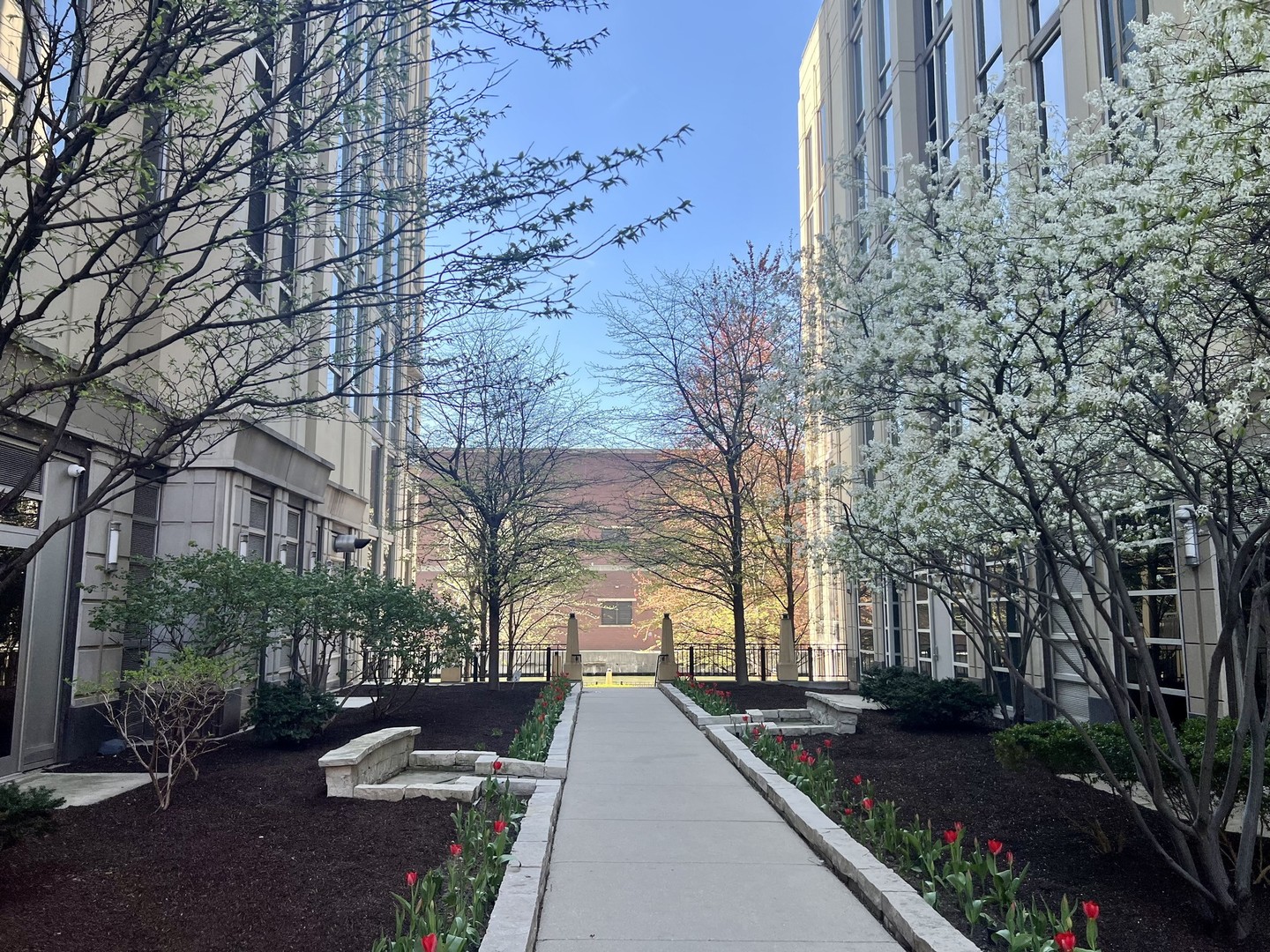 700 N Larrabee Street Unit: 1605