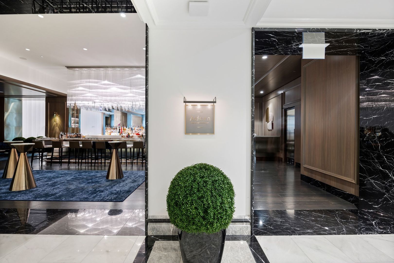 132 E Delaware Place Unit: 5501
