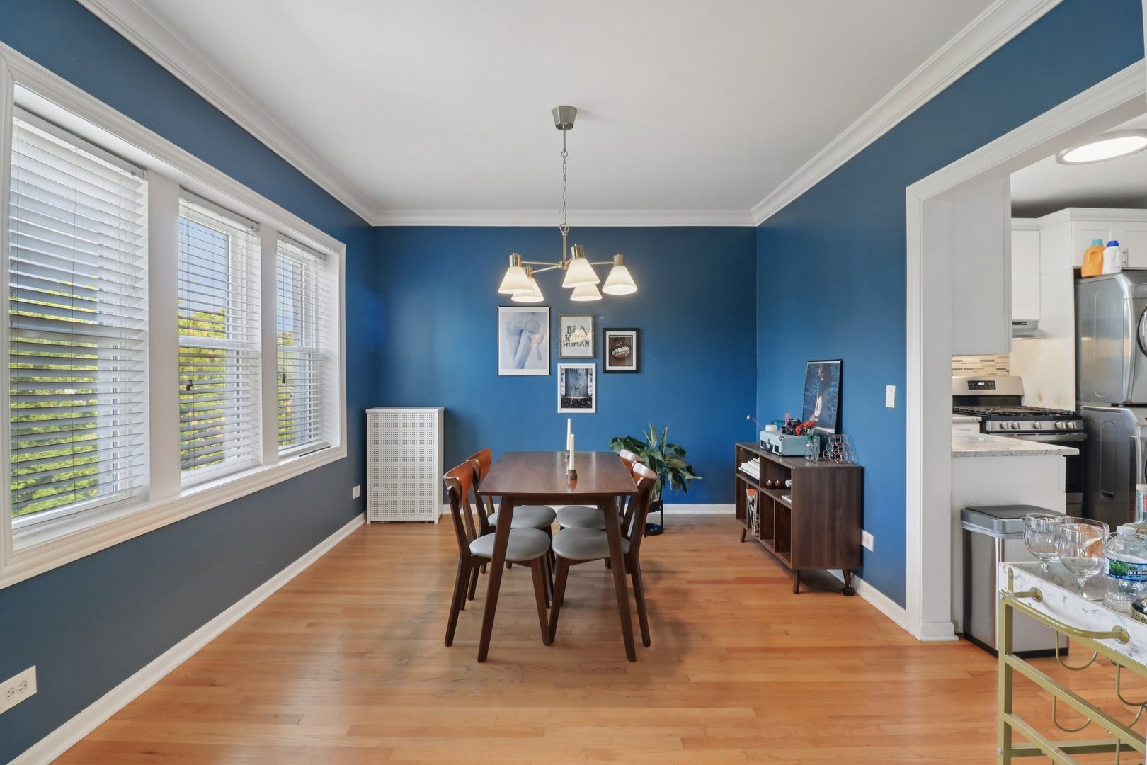 3558 W Belle Plaine Avenue Unit: 3