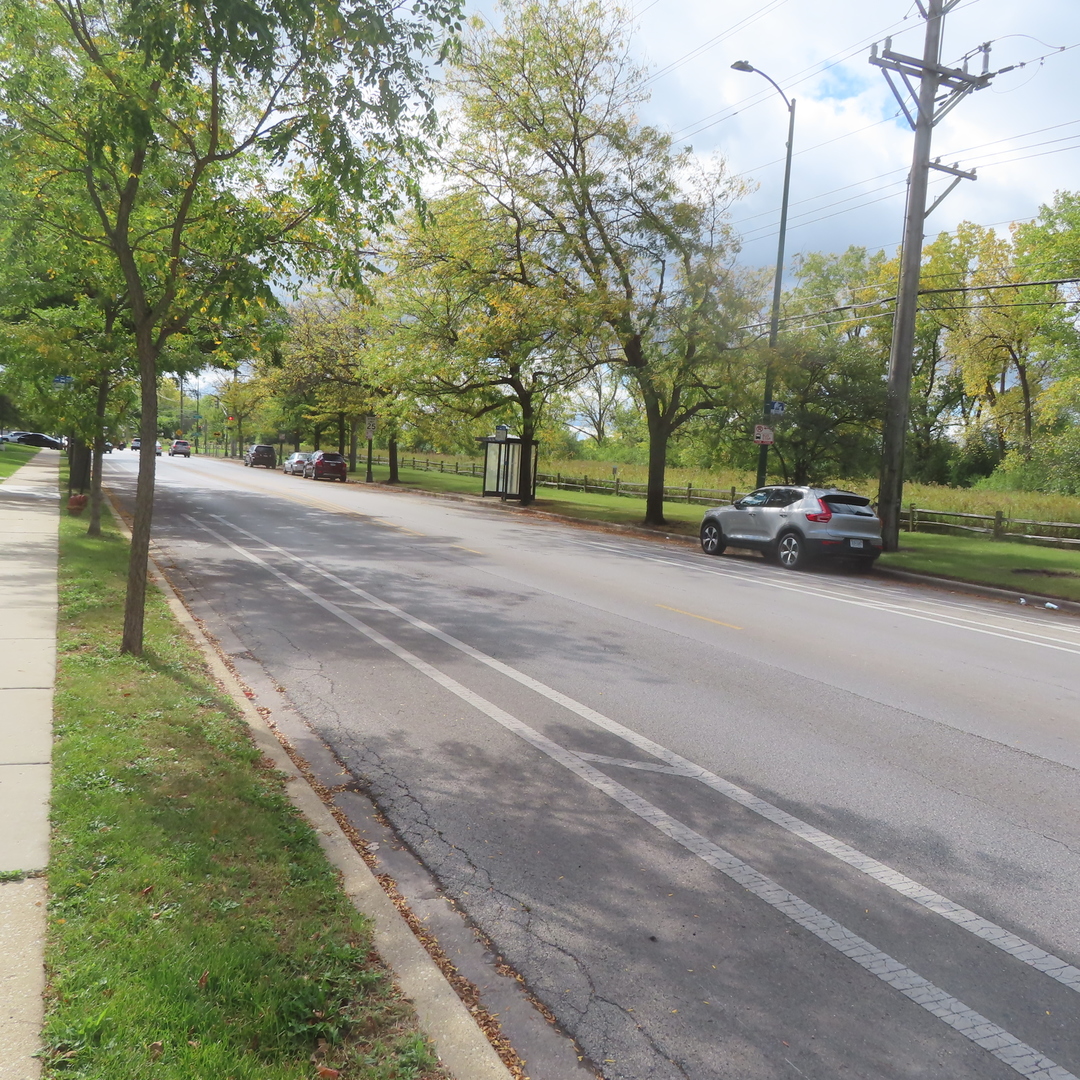 6833 N Kedzie Avenue Unit: 1516