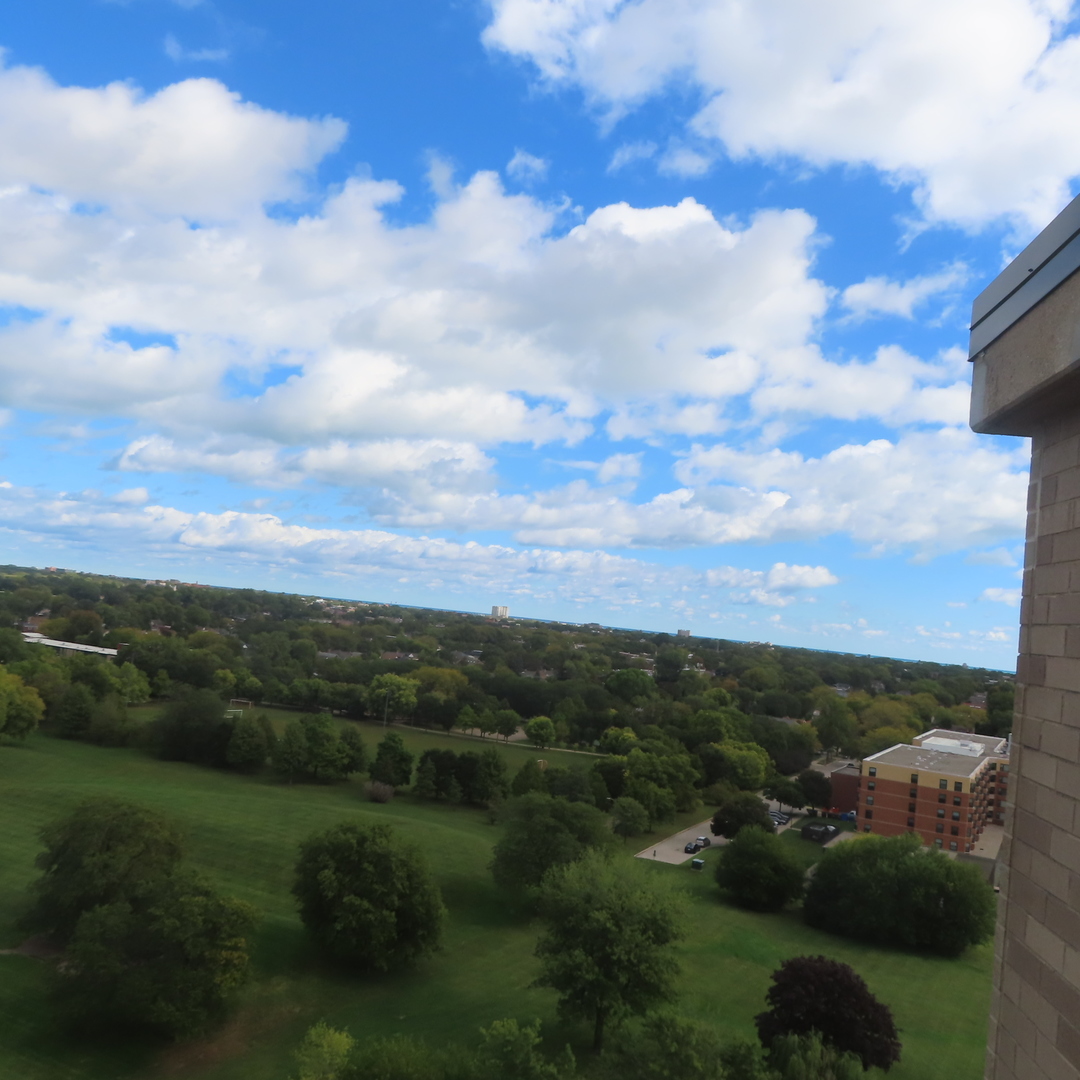 6833 N Kedzie Avenue Unit: 1516