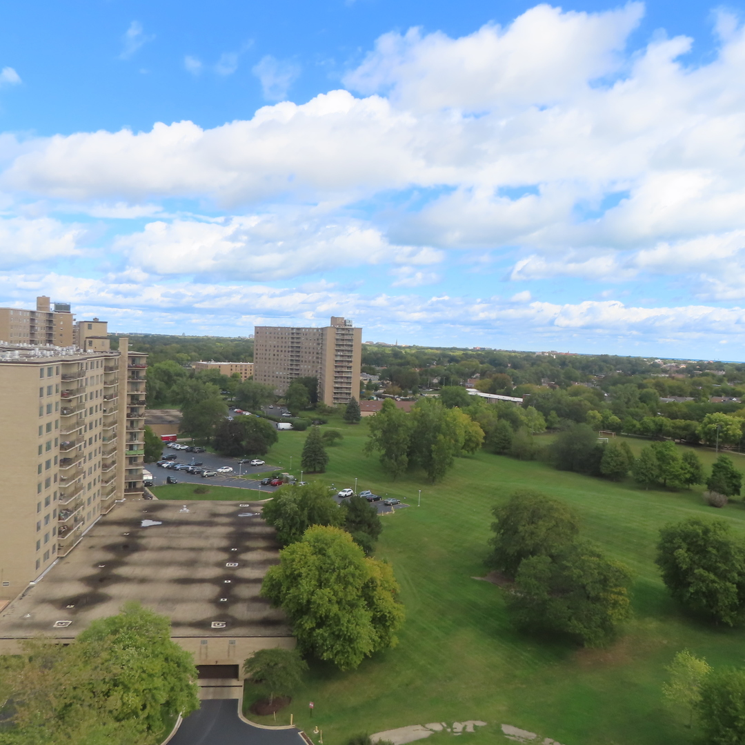 6833 N Kedzie Avenue Unit: 1516