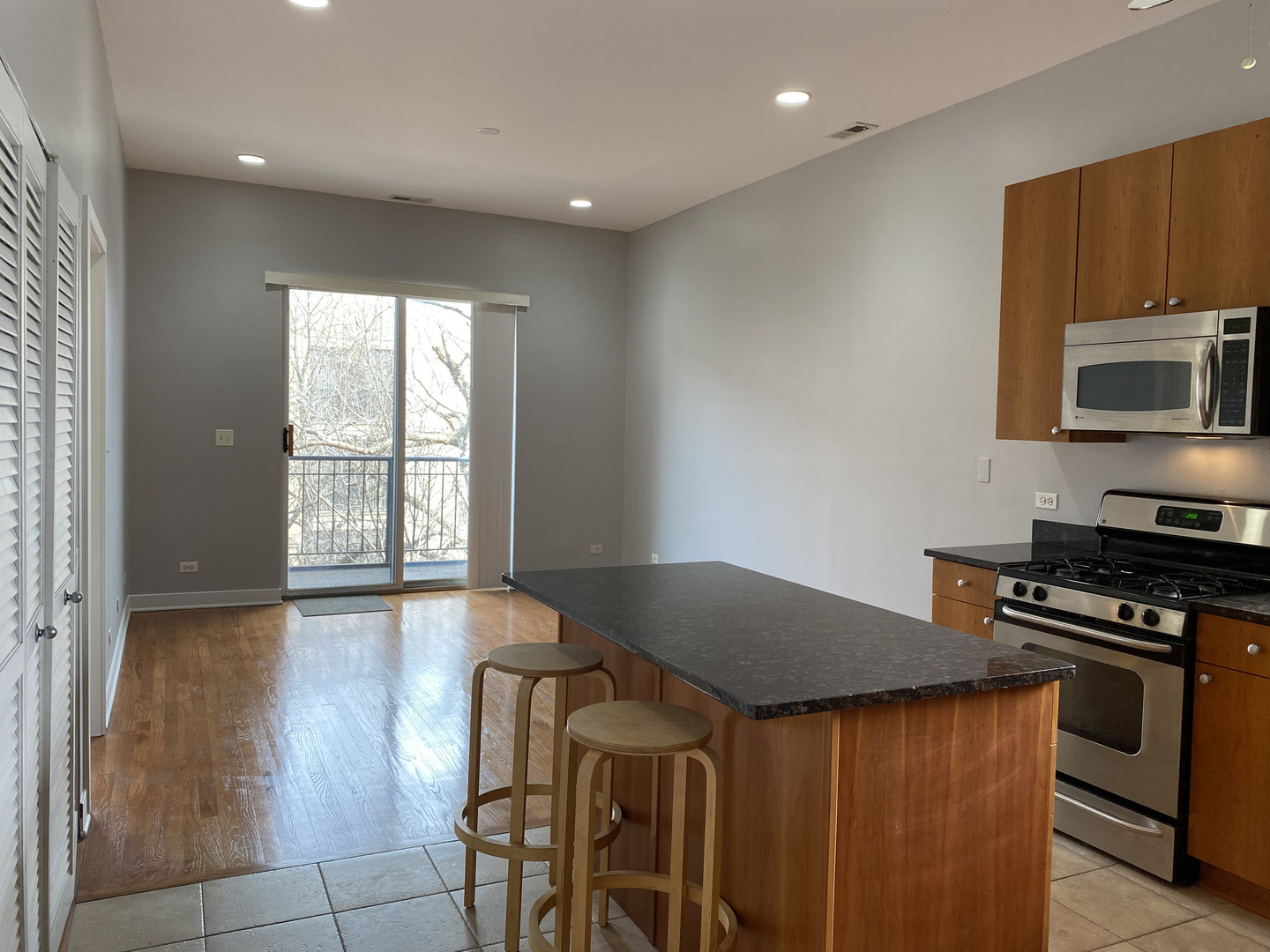 14 S Leavitt Street Unit: 3E