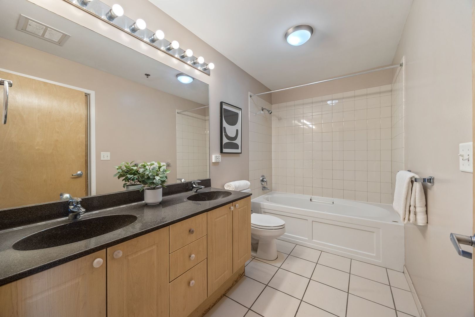 1620 S Michigan Avenue Unit: 619