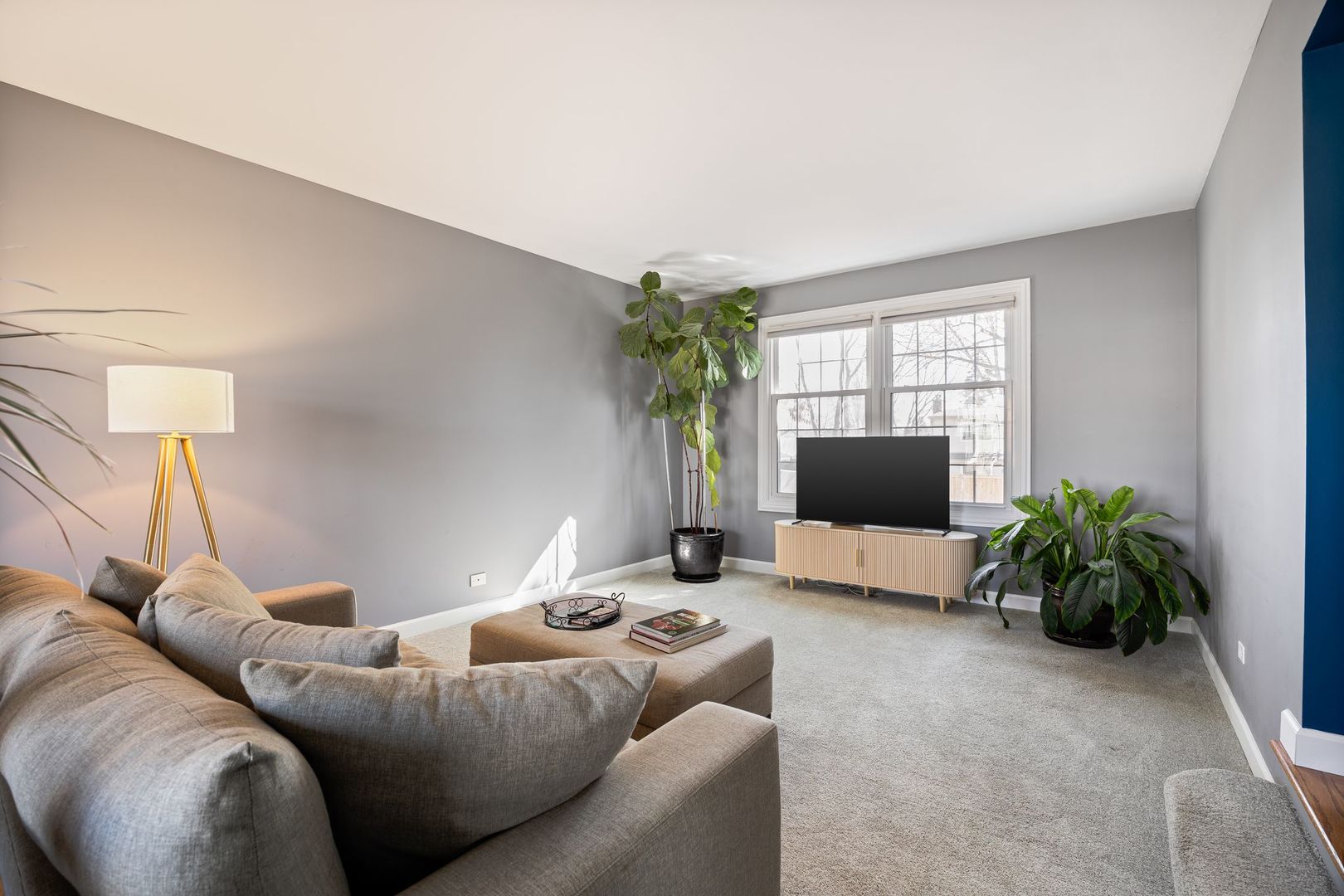 1125 W Skylark Drive