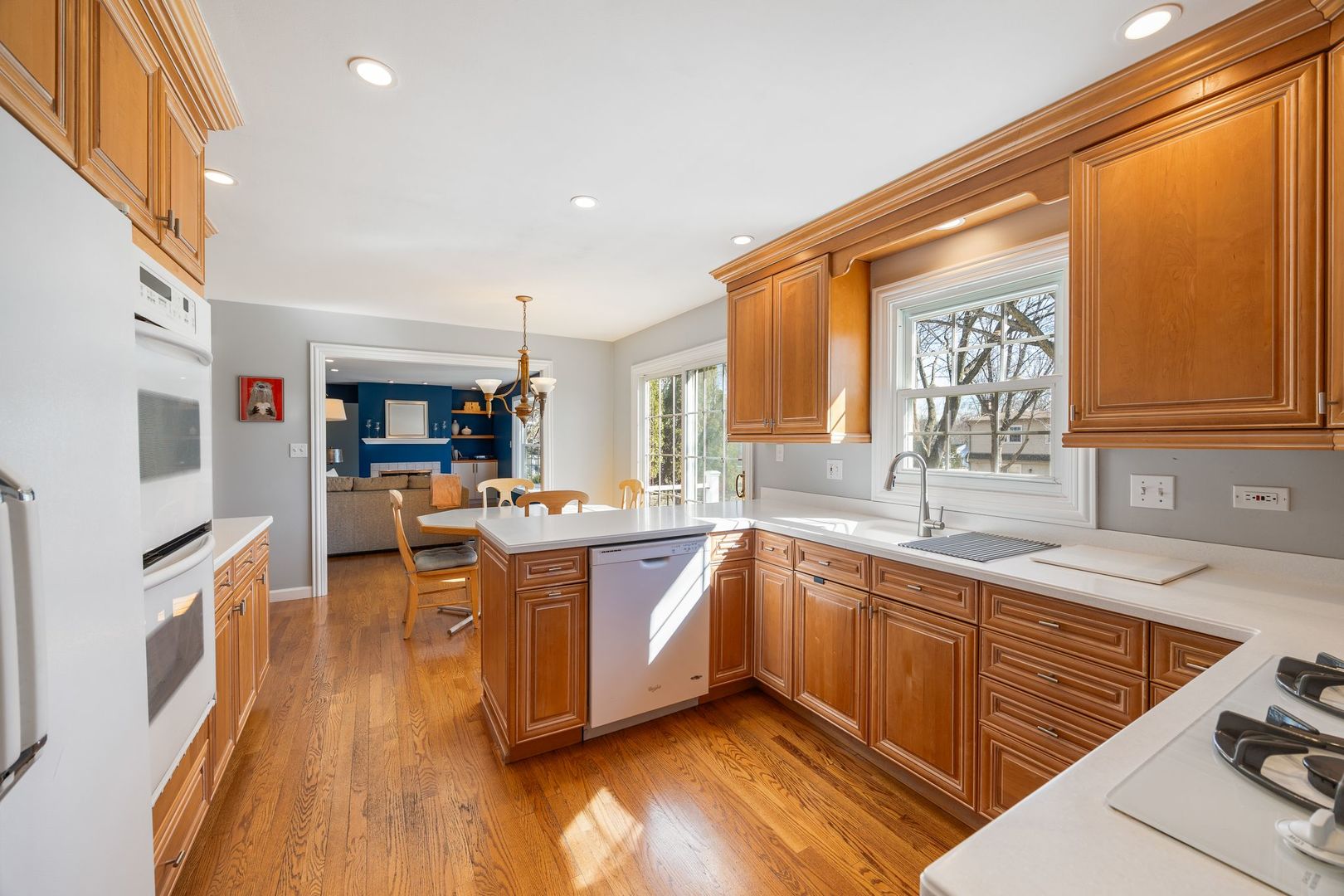 1125 W Skylark Drive