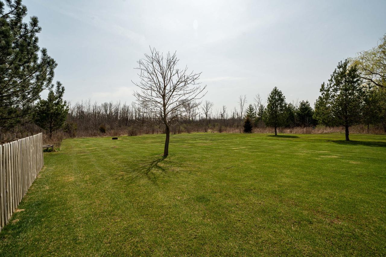 8925 Pleasant Valley ROAD