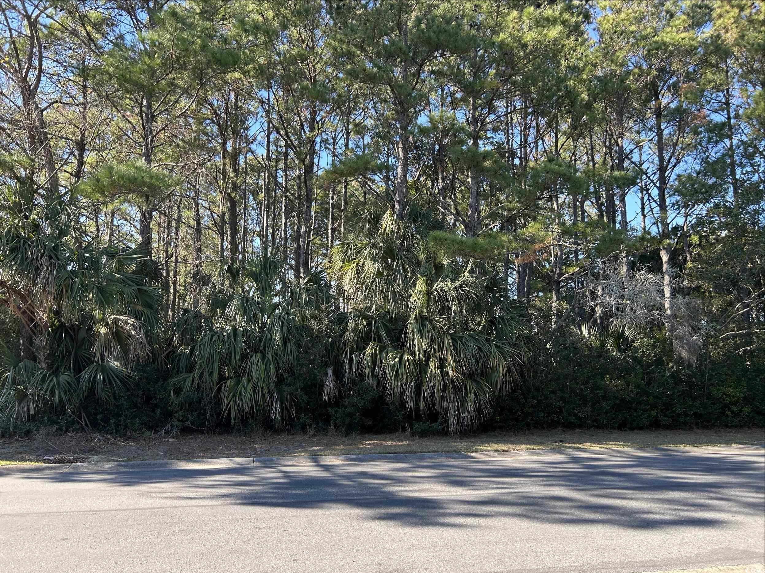 Lot 17 Dune Oaks Dr.