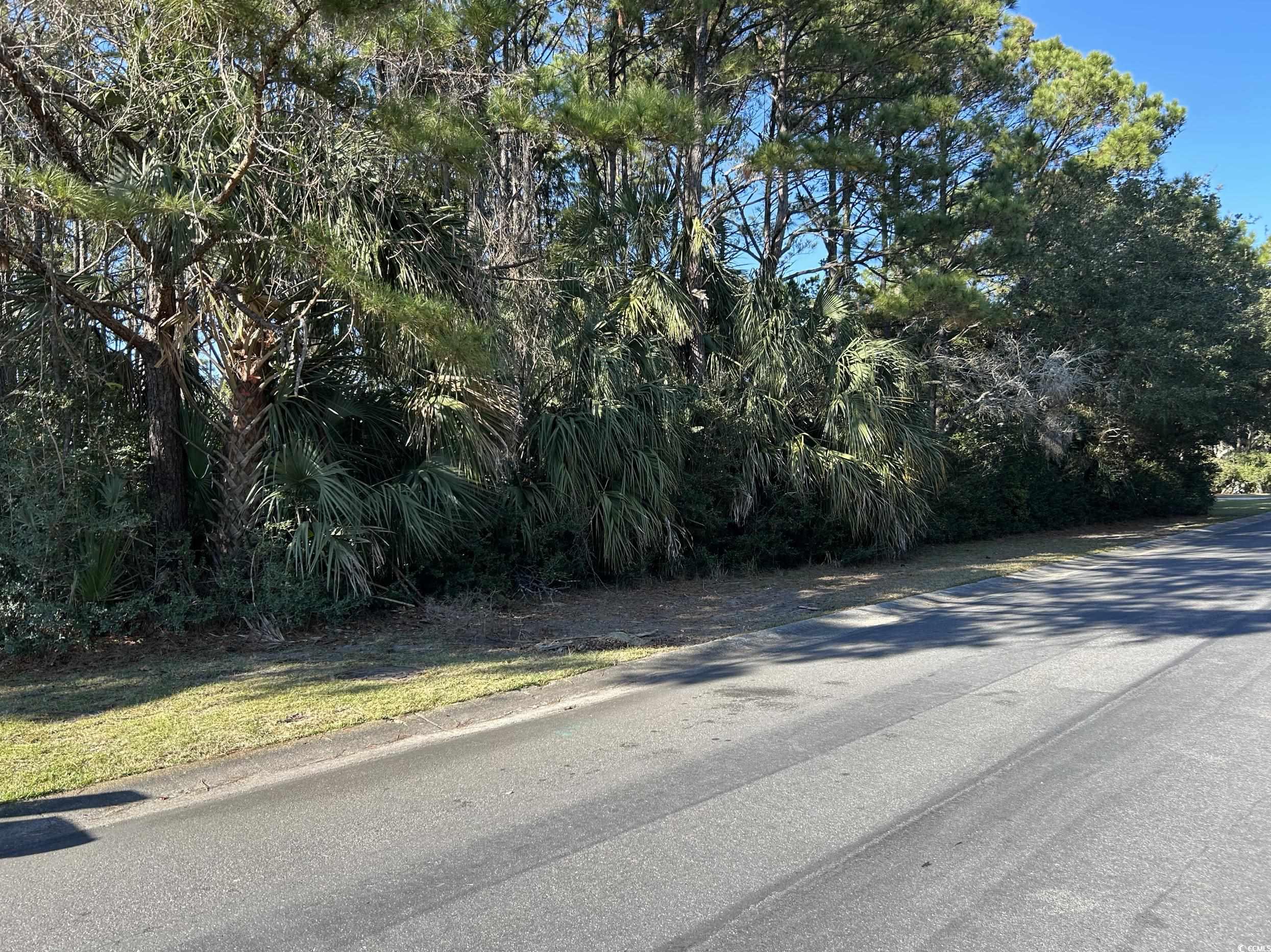 Lot 17 Dune Oaks Dr.