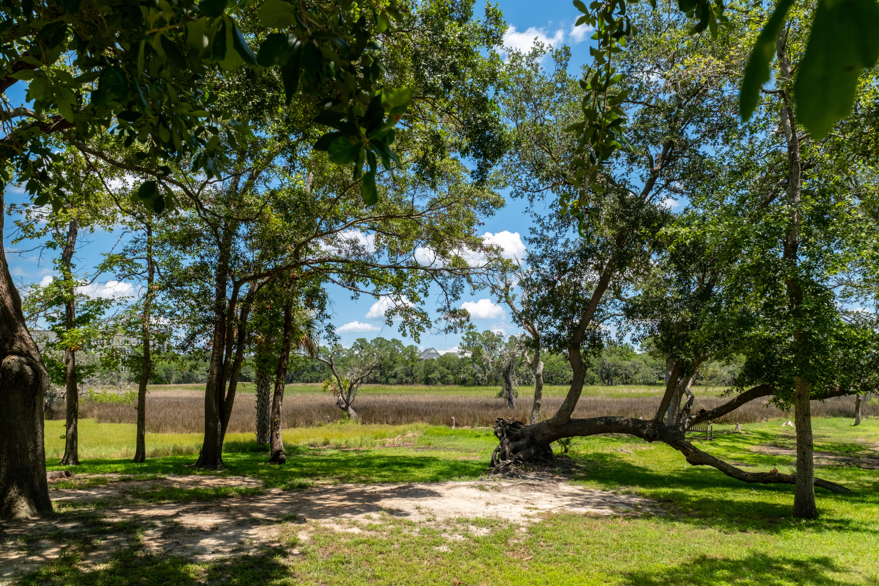 1142 Barfield Street