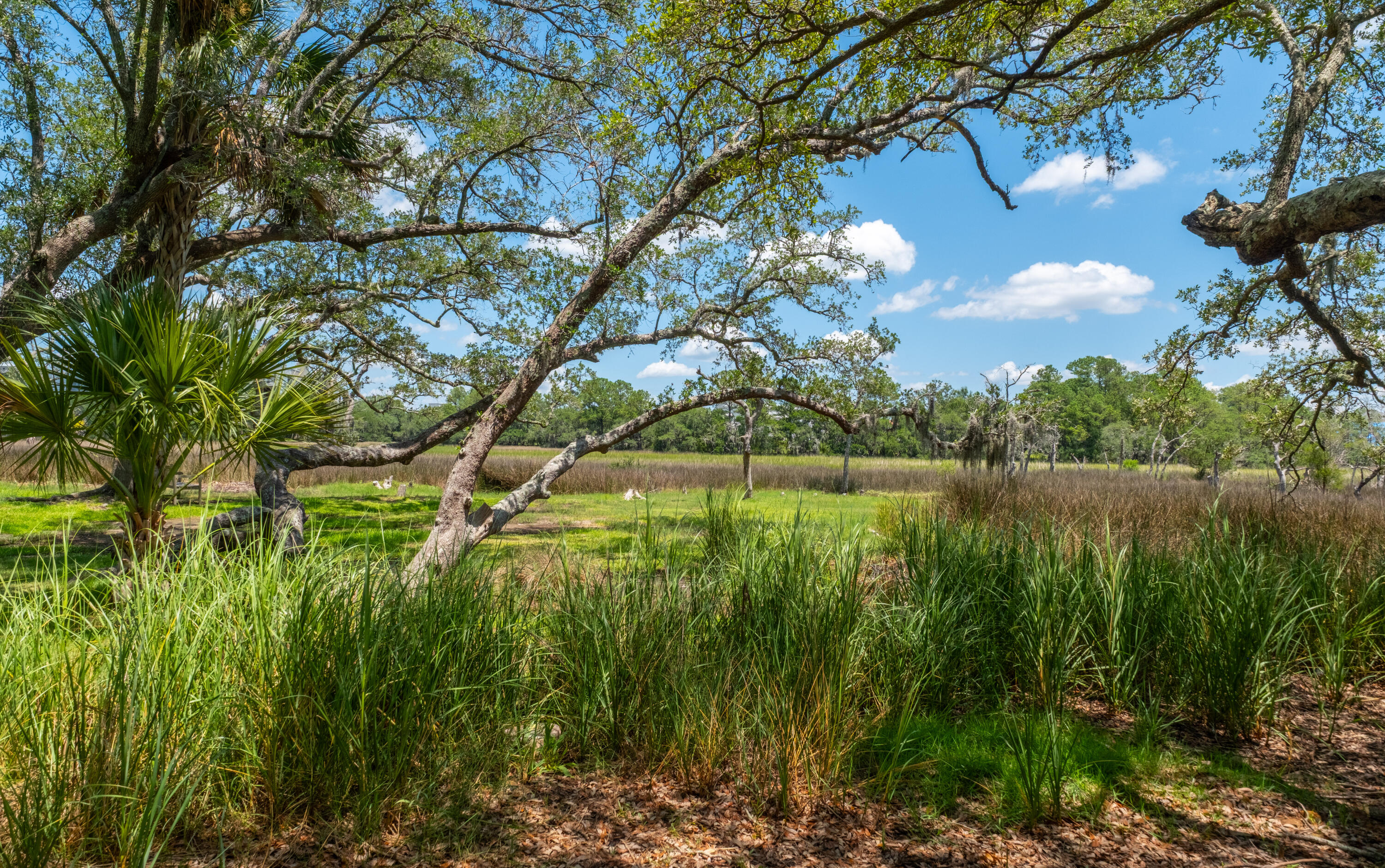 1142 Barfield Street