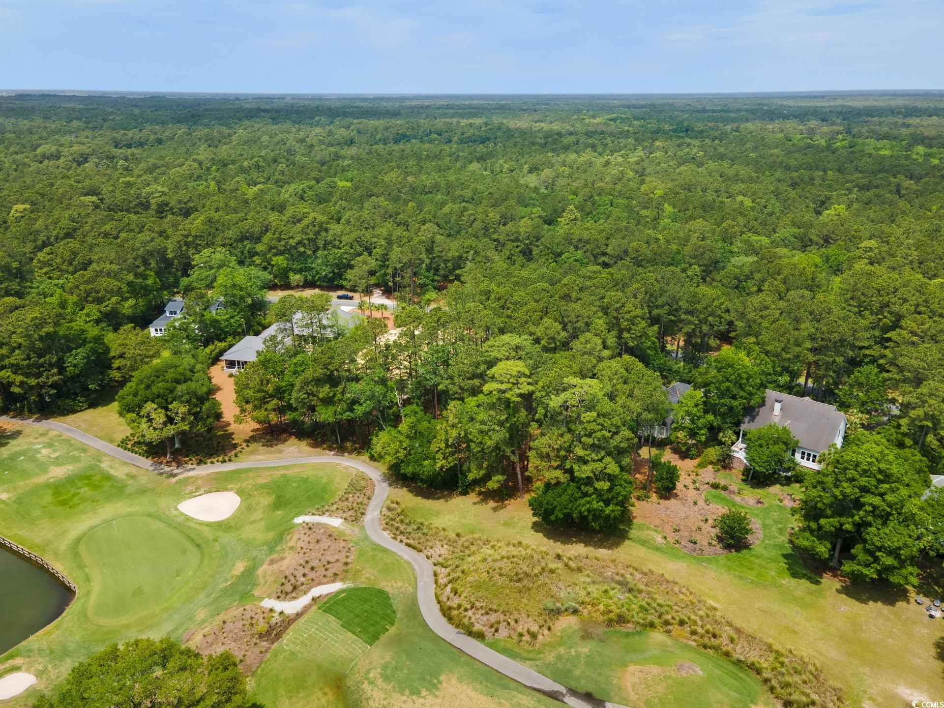 Lot 60 Wallace Pate Dr.