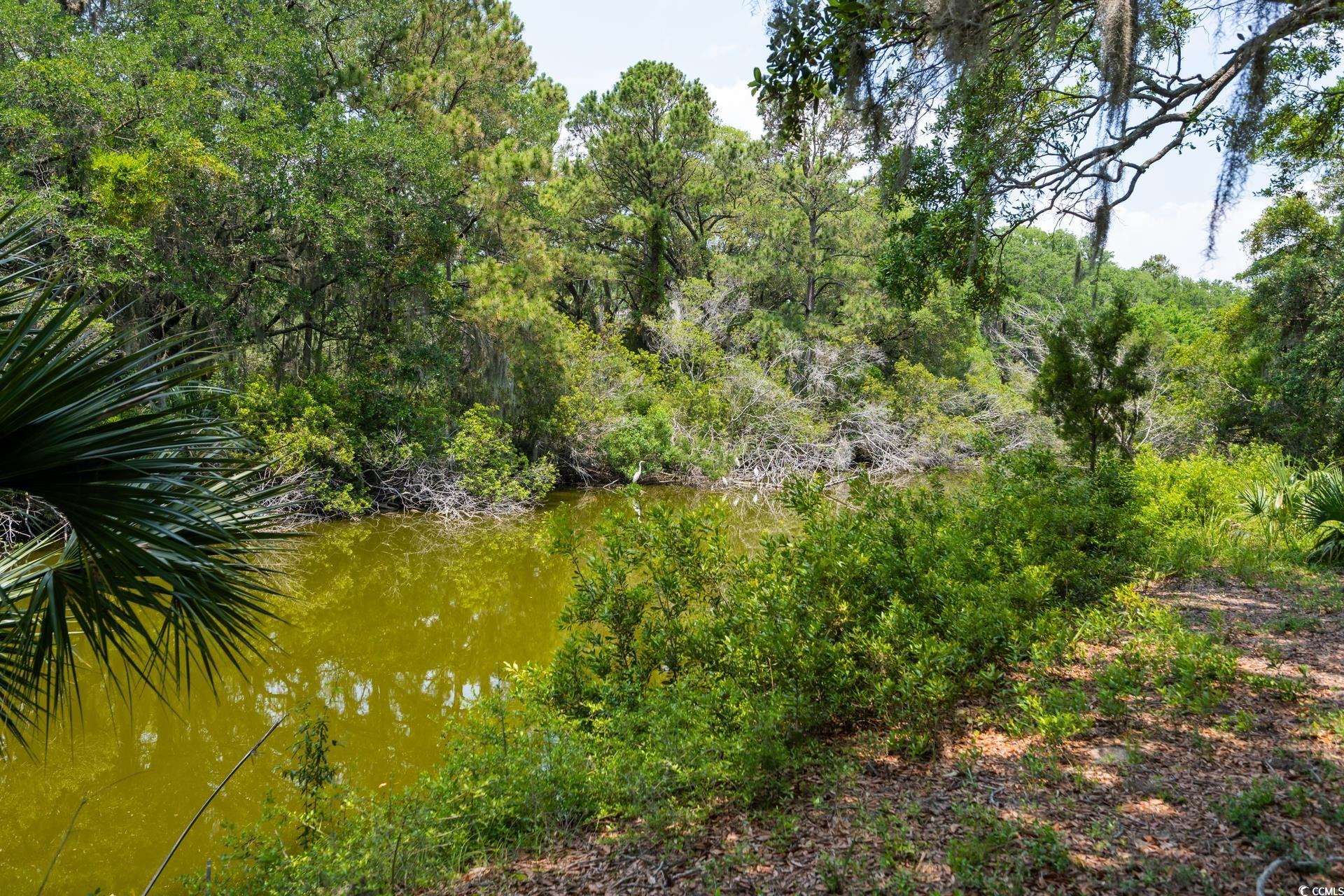 214 Sea Island Dr.