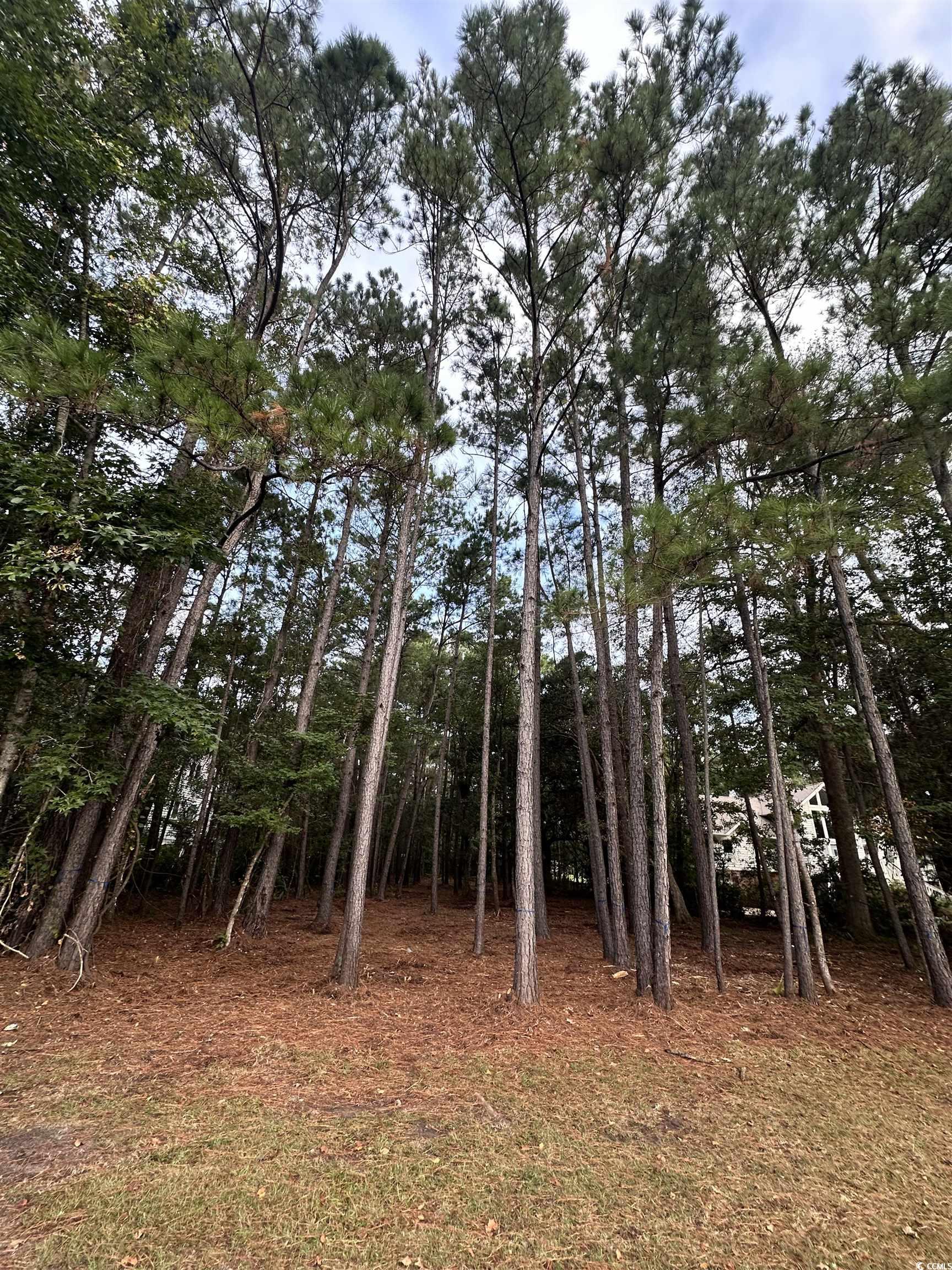 Lot 81 Brandon Way