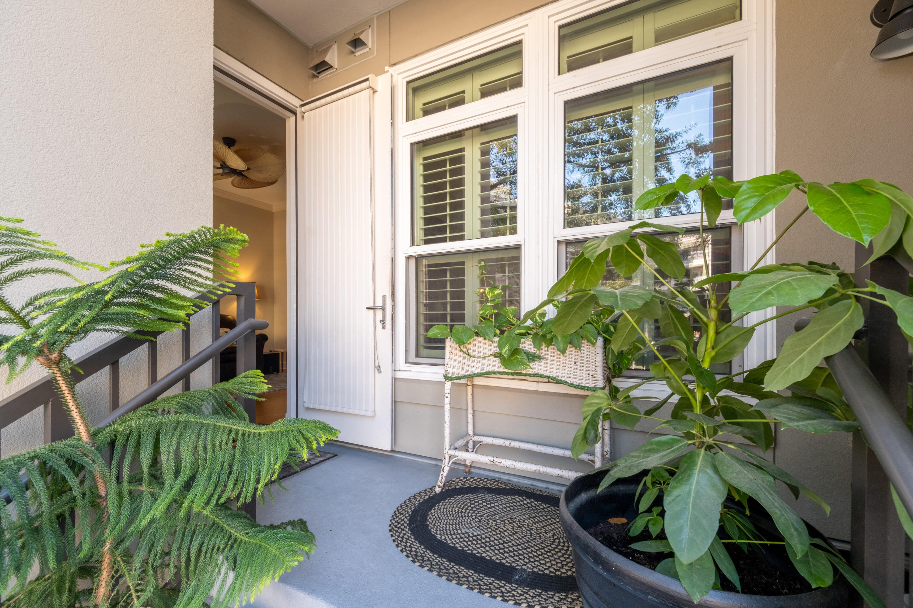 125 Pier Viw Street # 105