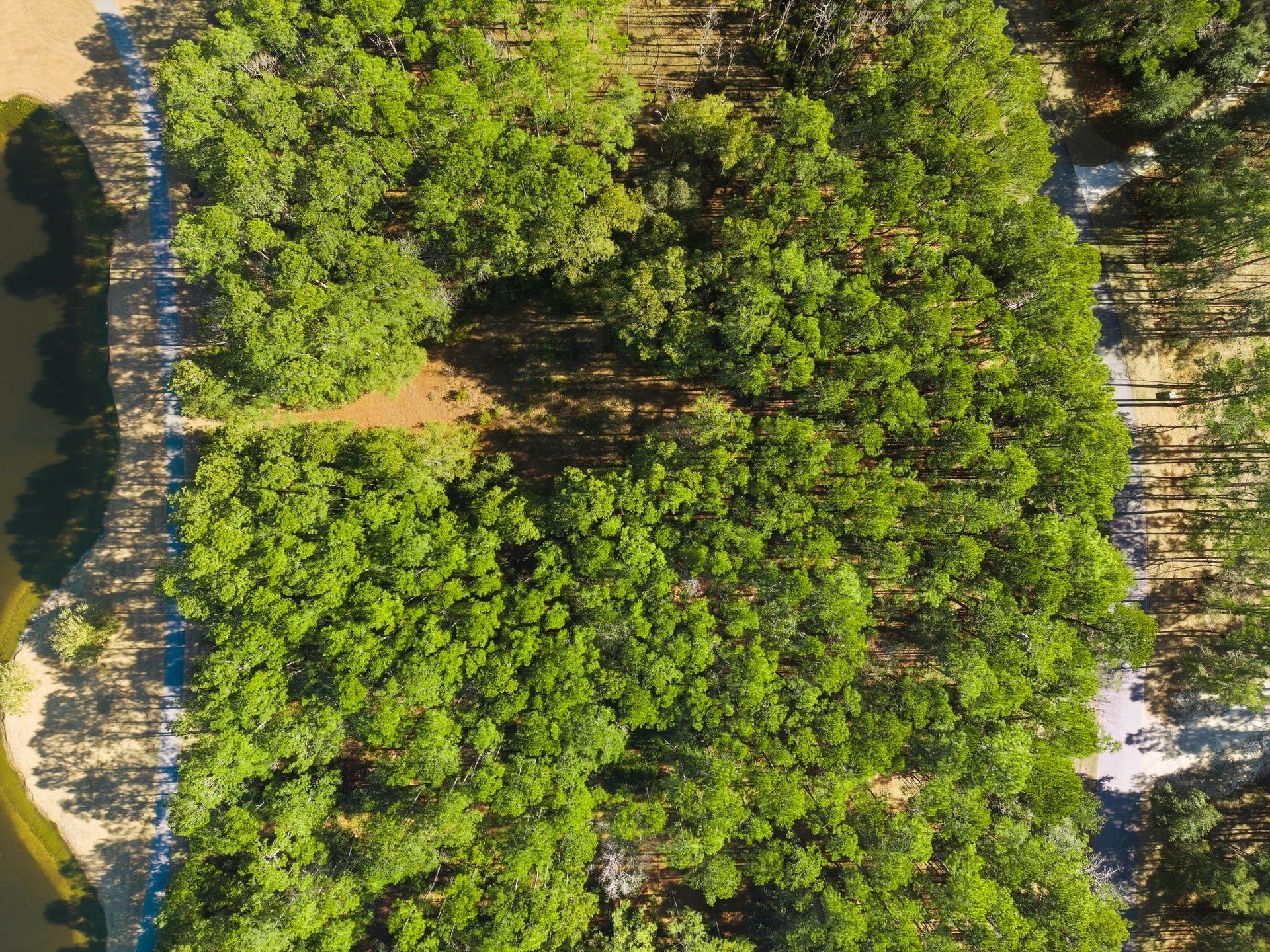 2781 Vanderbilt Blvd.