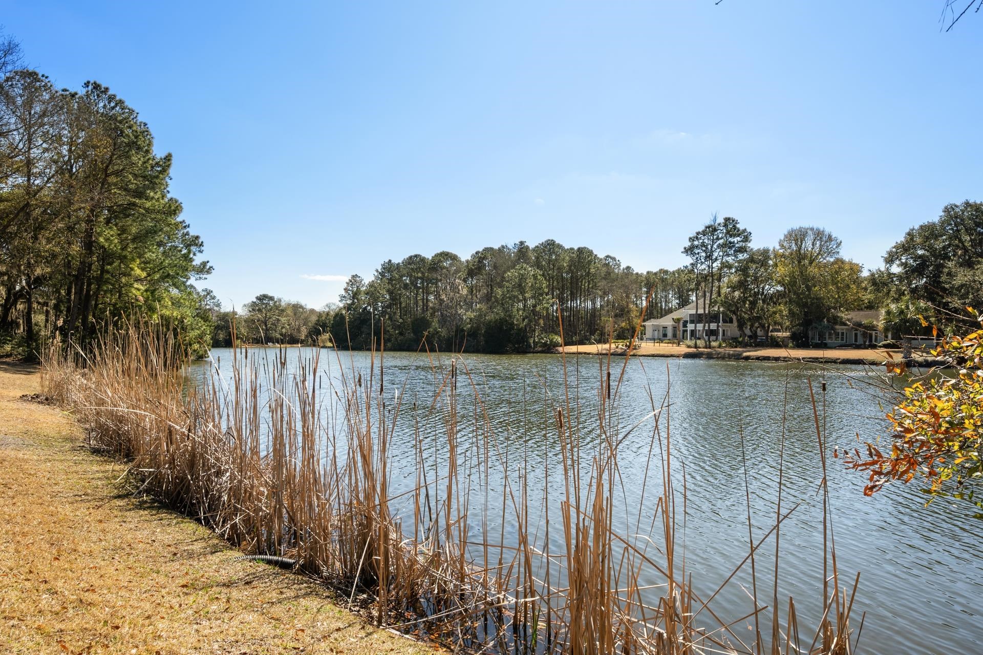 250 Pinckney Ave.
