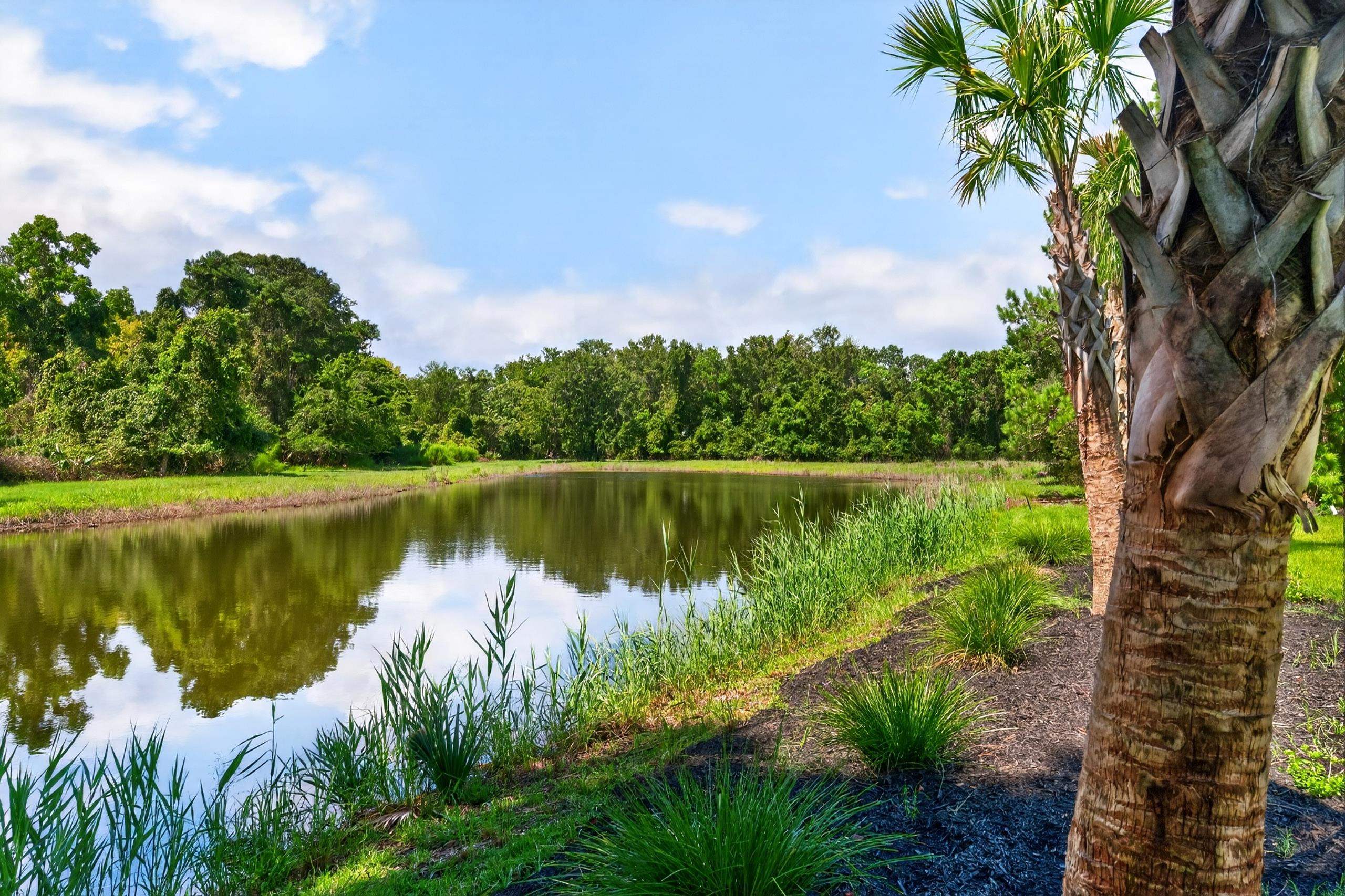 292 Colony Club Dr.
