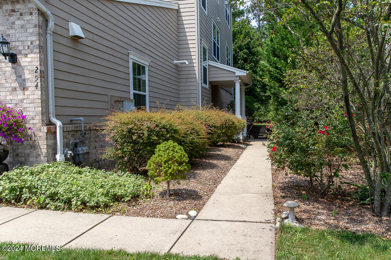 294 Hawthorne Lane