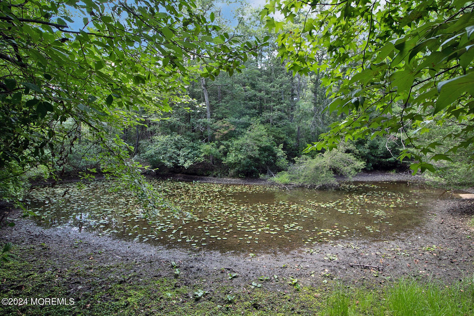 21 Bog Hollow Court