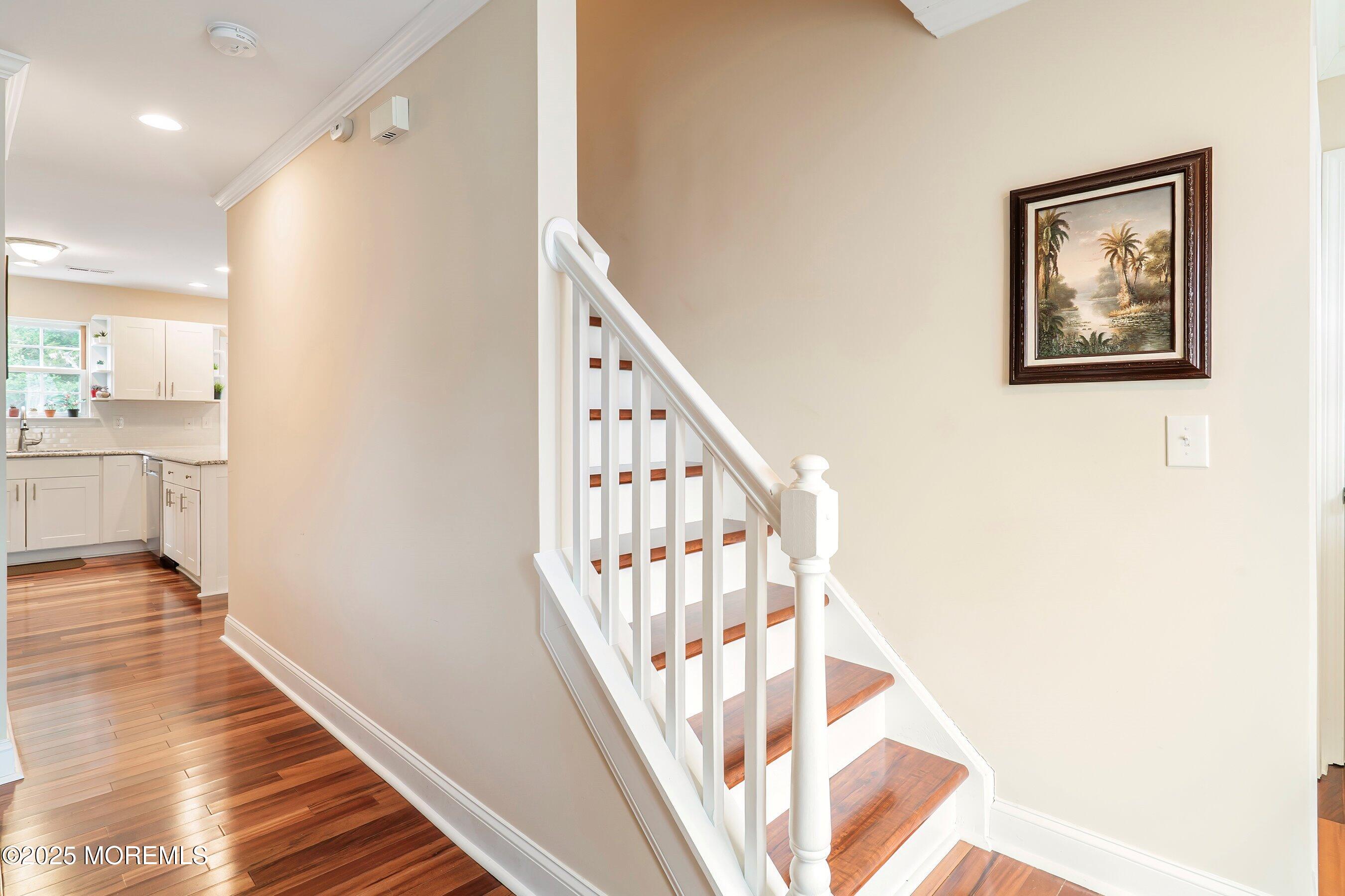 3 Osbourn Court