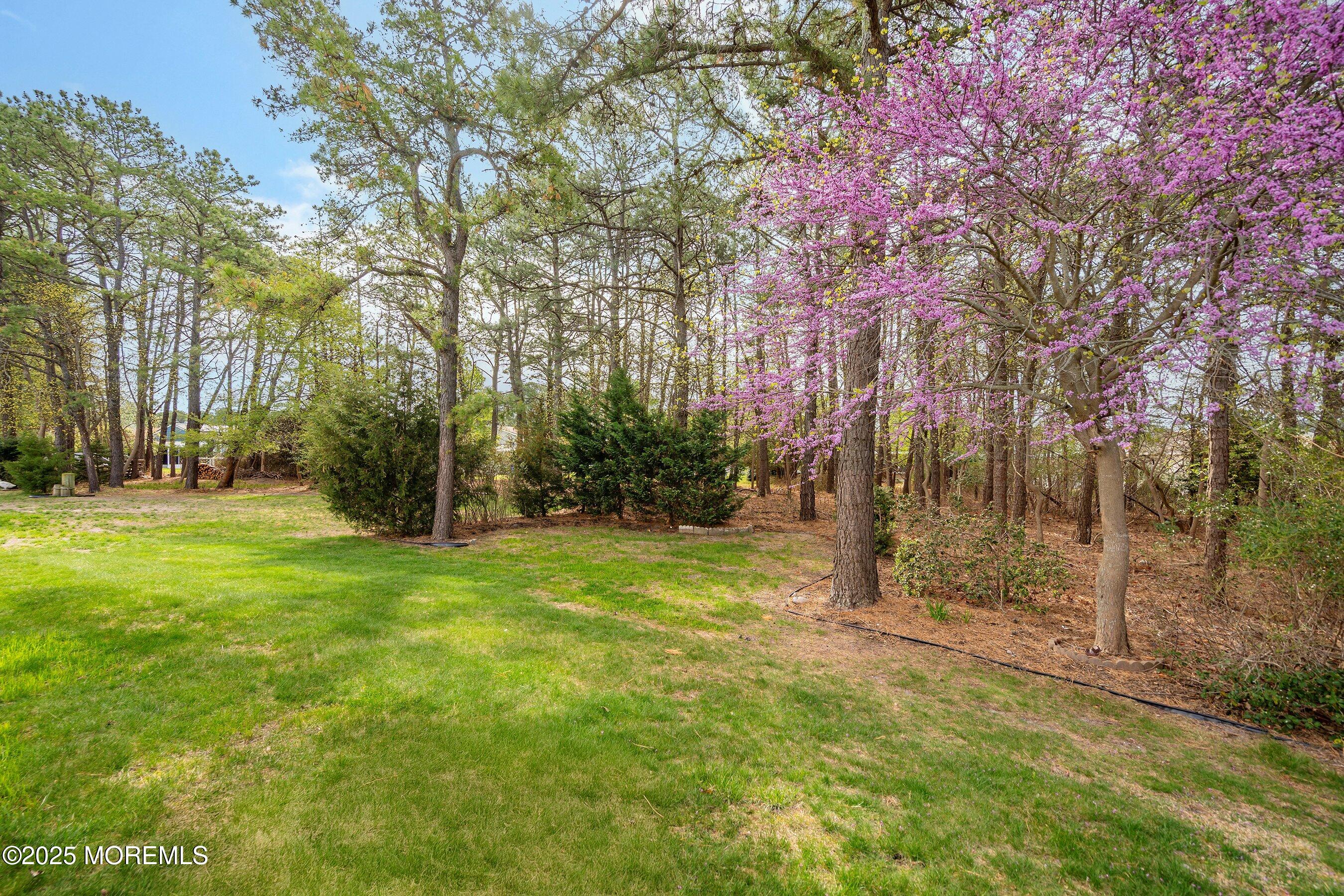 83 Woodstock Drive