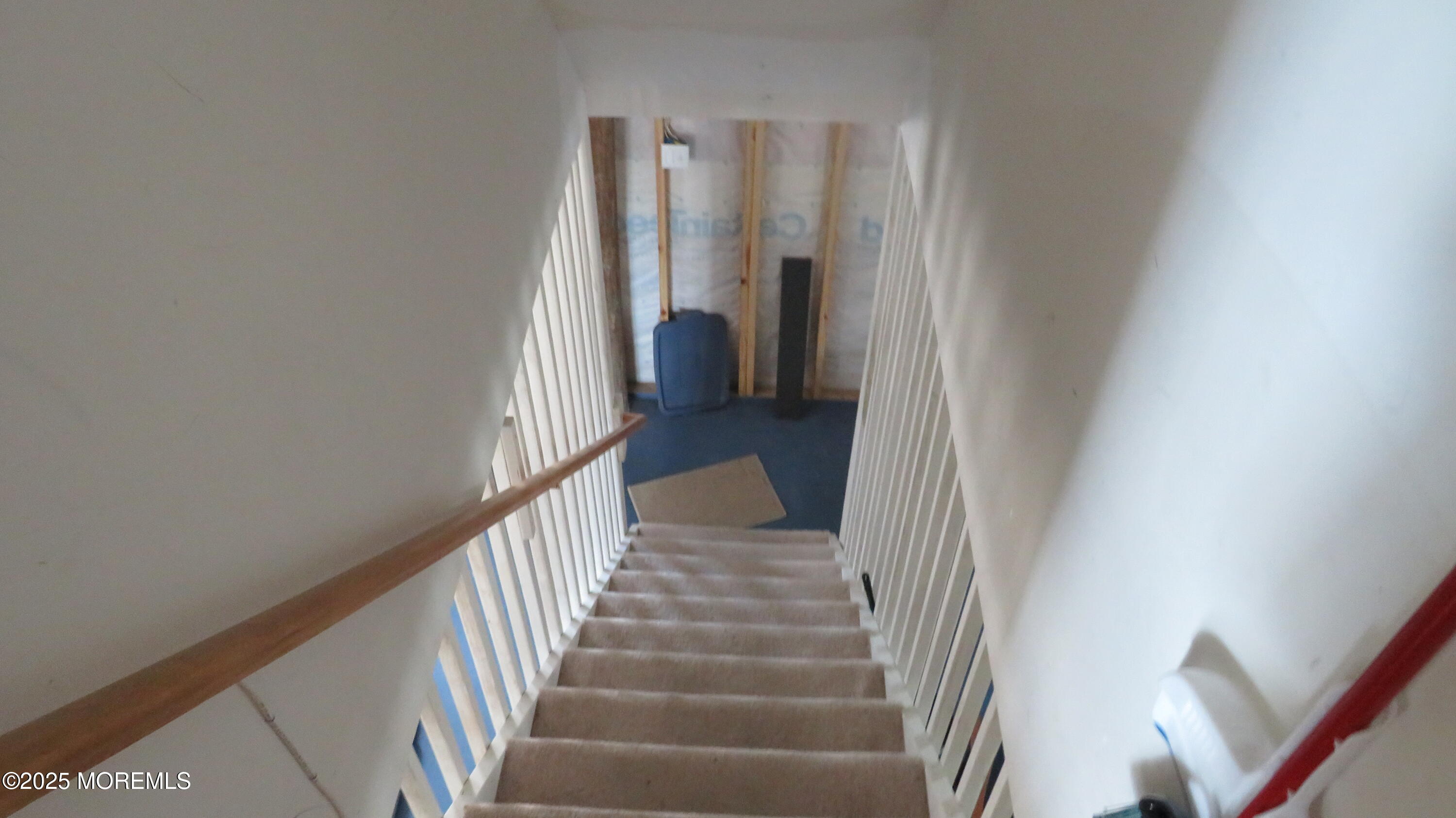 61 Albert Drive