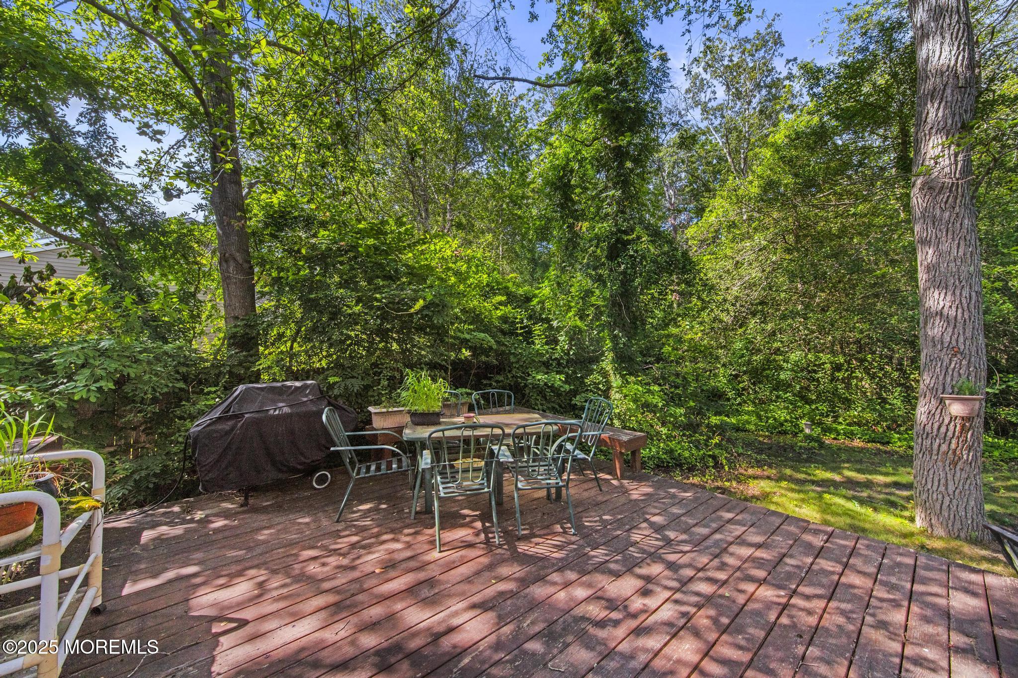 33 Shoveler Drive