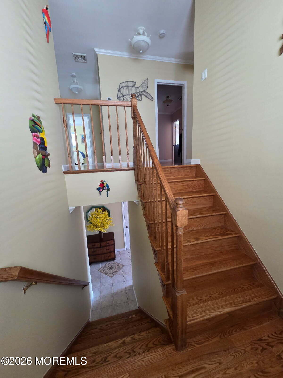 37 Frank Drive