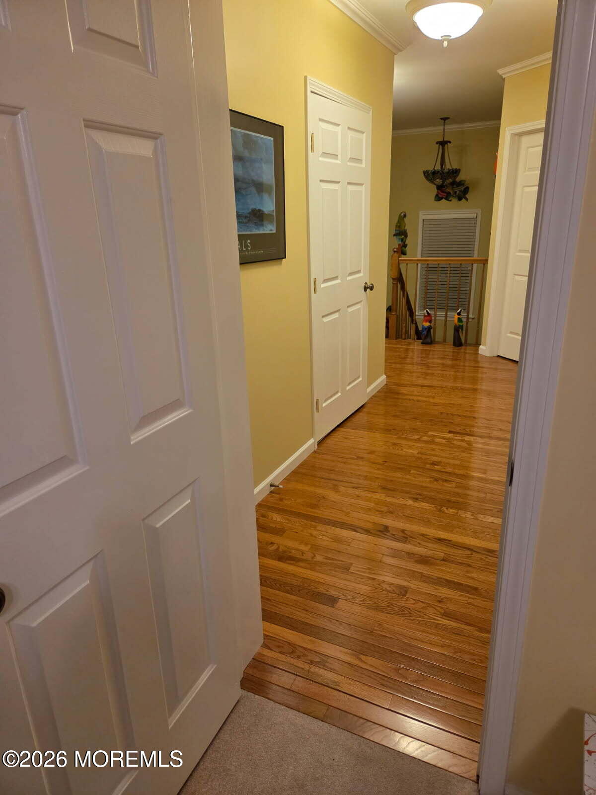 37 Frank Drive