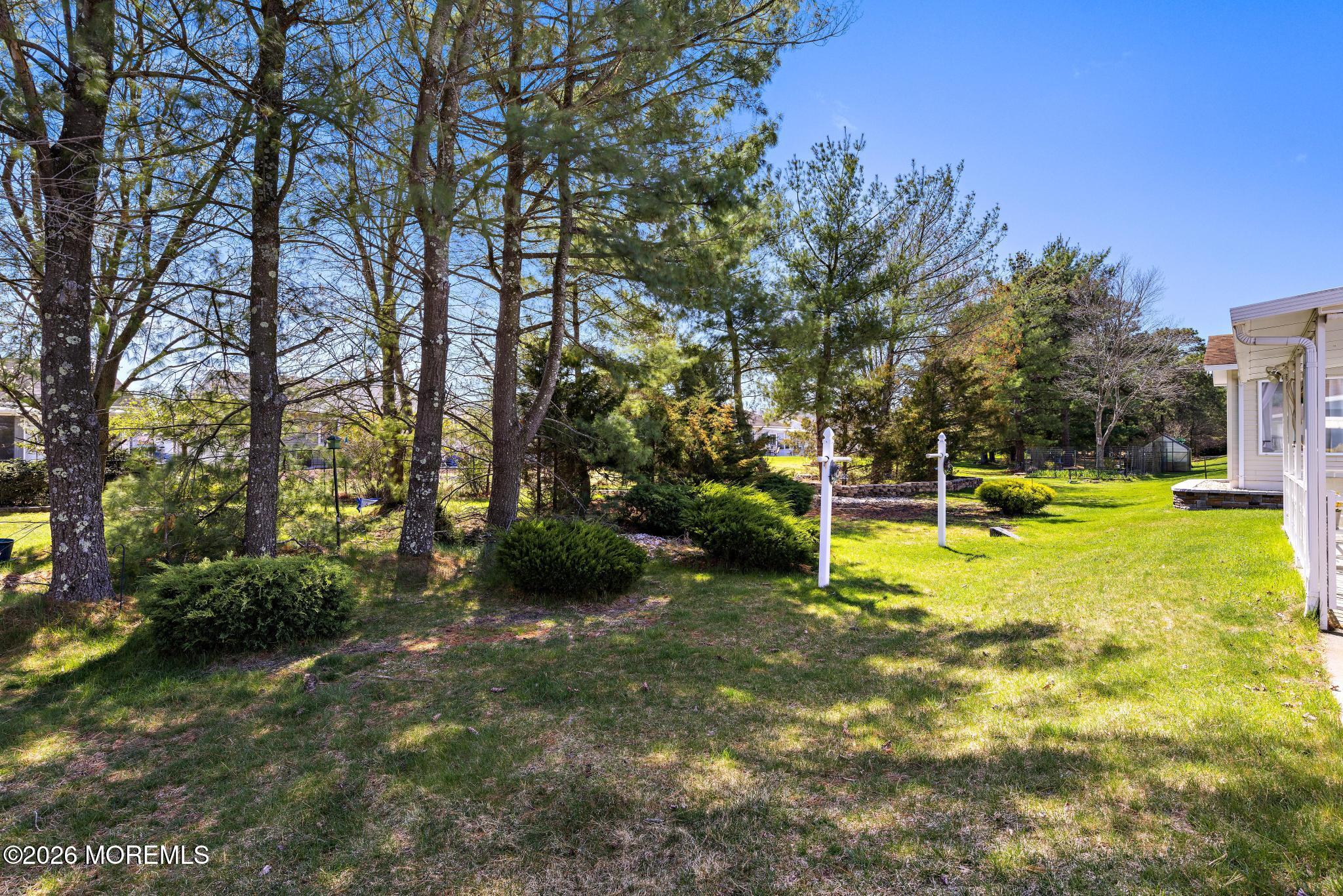290 Jamaica Boulevard