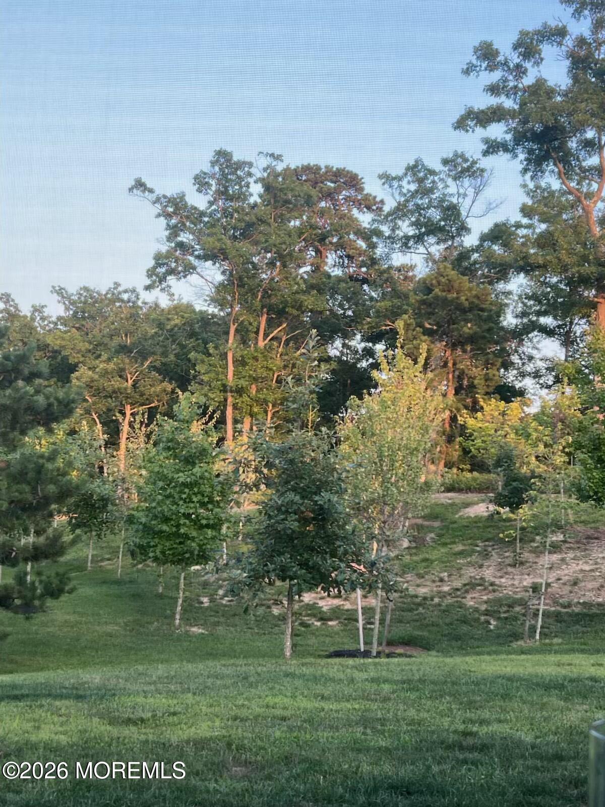3 Raccoon Lane