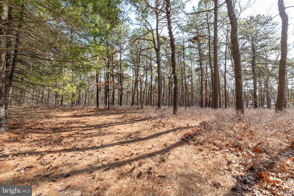 220 OLD TUCKERTON ROAD