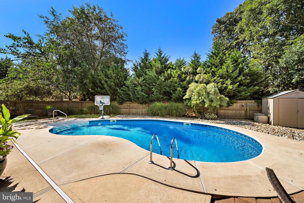 391 CHESTNUT DRIVE