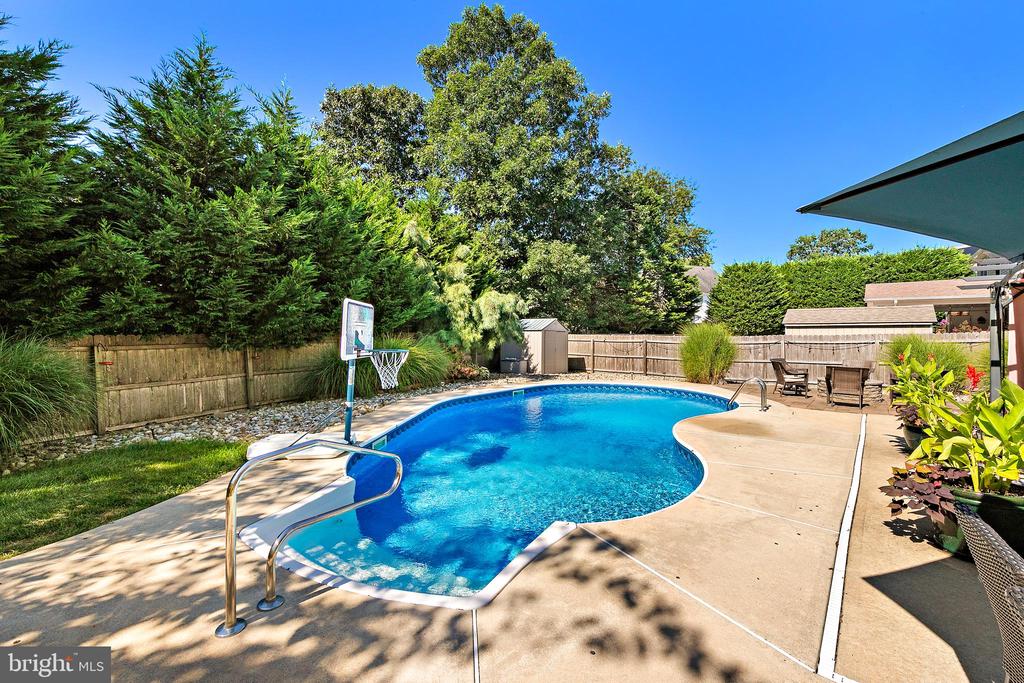 391 CHESTNUT DRIVE
