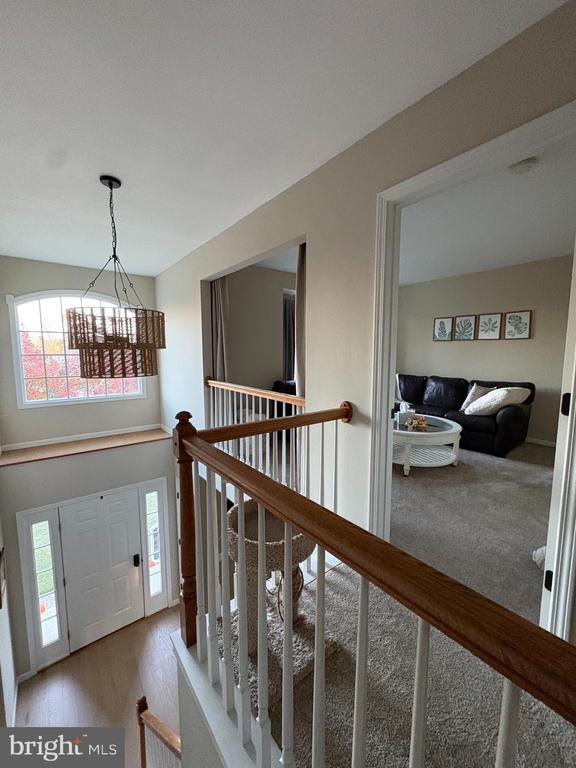 310 WINDING OAK TRAIL