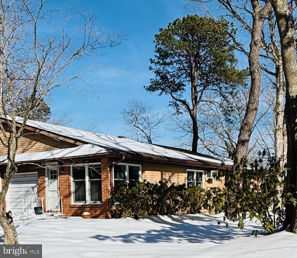 29 SYCAMORE ROAD