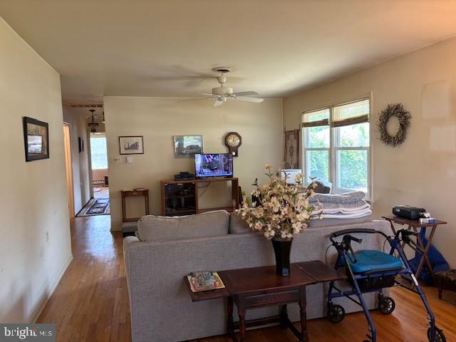 55 SYCAMORE ROAD