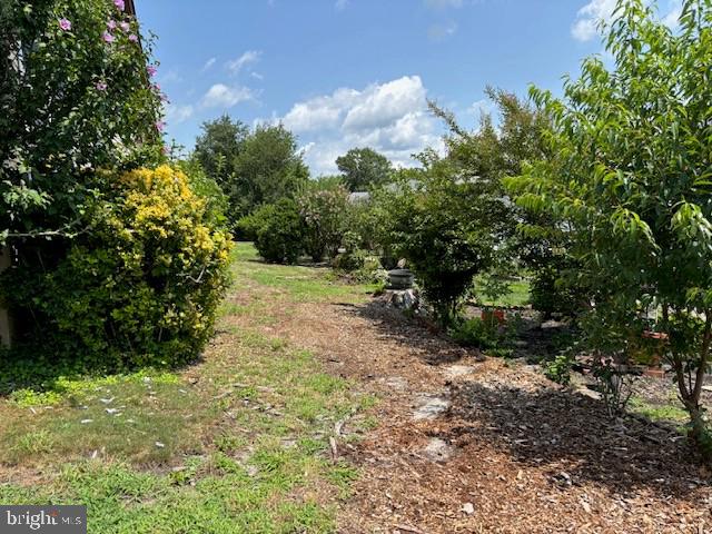 55 SYCAMORE ROAD