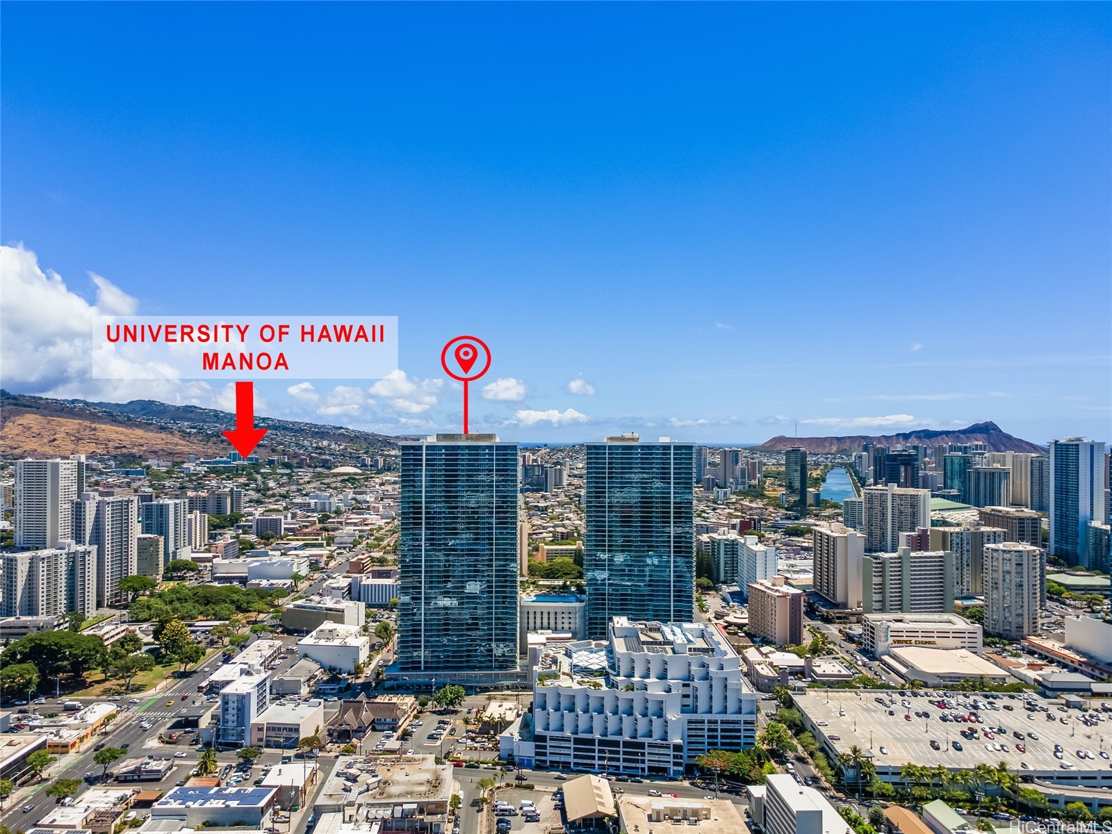 1515 Liona Street 1202