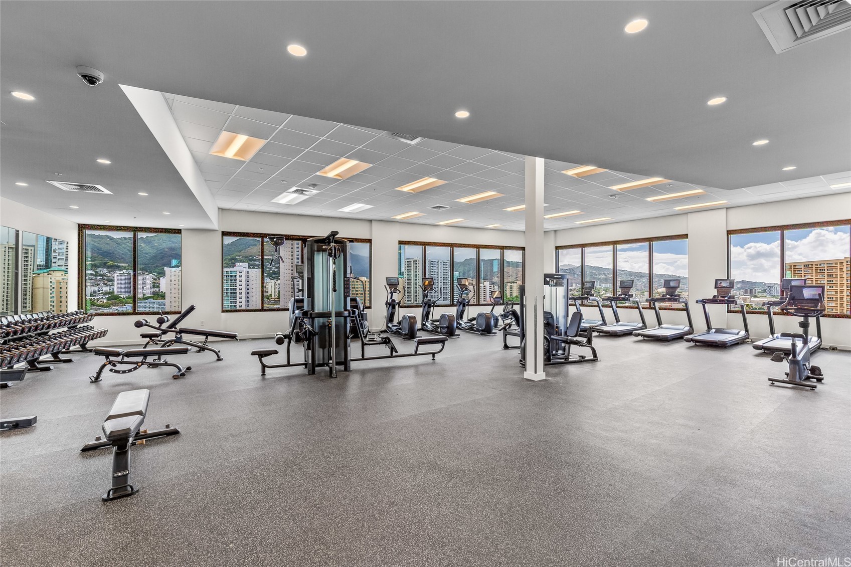 1515 Liona Street 1801