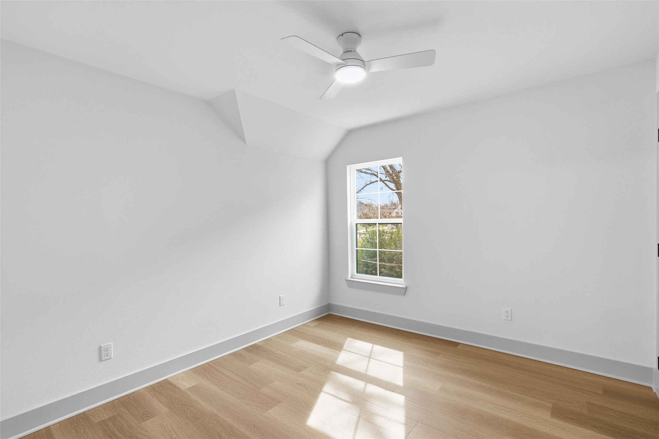 538 Proctor Avenue