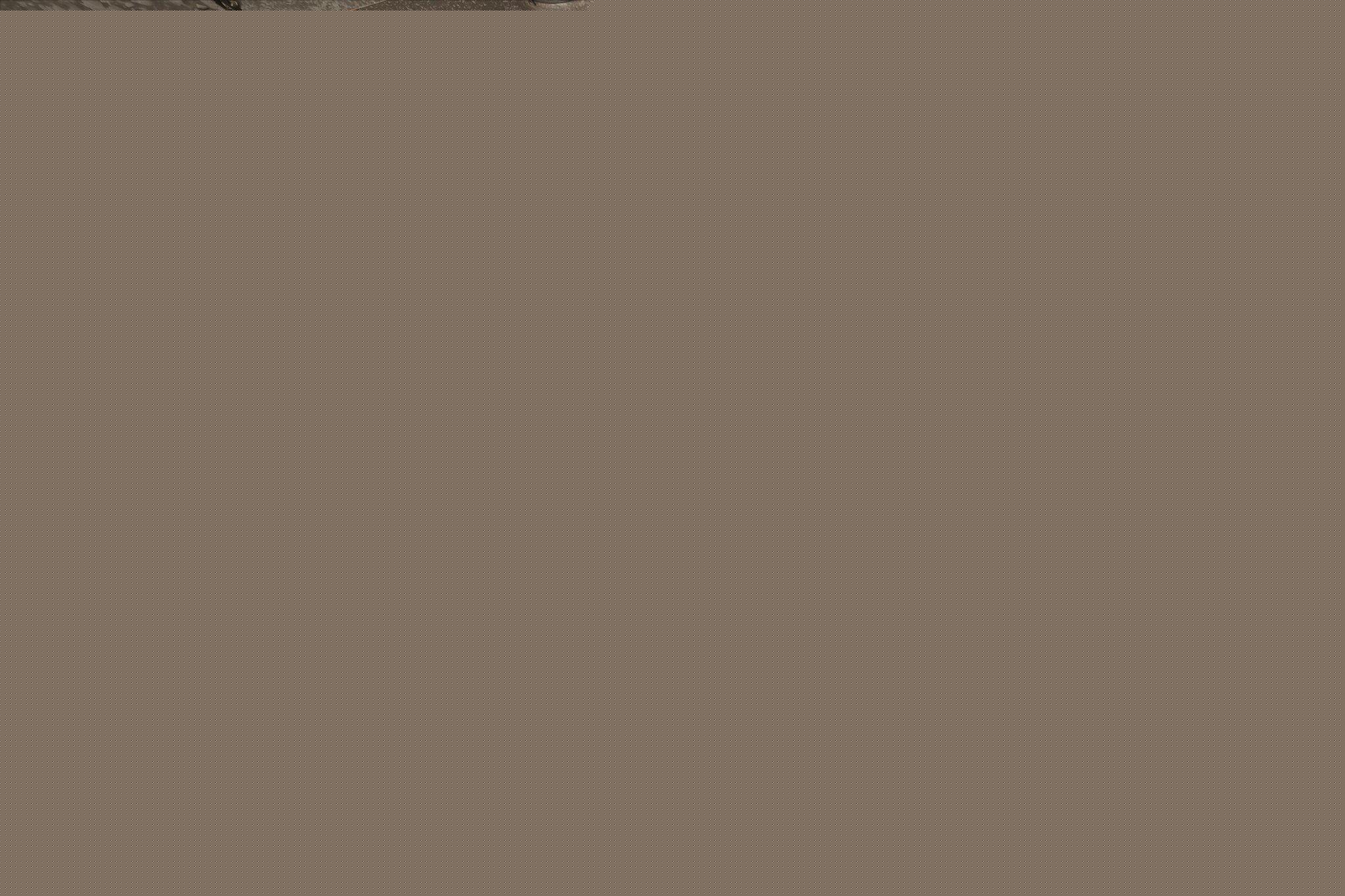 919 Maryland Avenue E